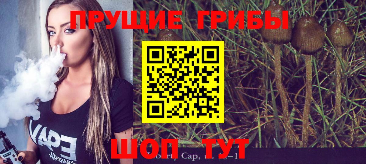 Псилоцибиновые грибы Cubensis  Вход с VPN  Псилоцибиновые грибы прущие грибы  Саров 