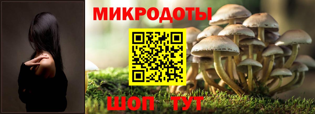 Галлюциногенные грибы мухоморы Саров